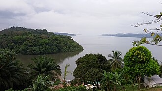 Cogo