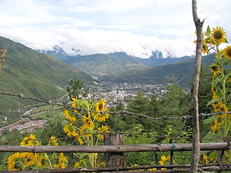 ཐིམ་ཕུག
